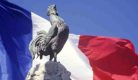 coq-gaulois