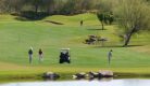 golfers golfers