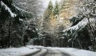 neige tintin danel