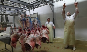 (Photo : SIPA.00633041_000014)