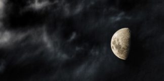 Quand on lui montre la Lune, l'imbécile ne regarde même plus le doigt.