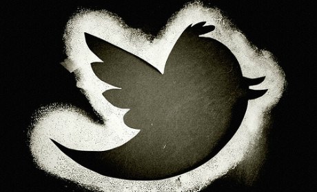 twitter-feneon-web twitter feneon web