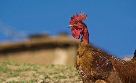 Les dangers de l&rsquo;identité
