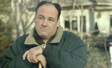 Gandolfini, contrat rempli