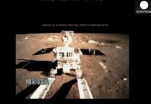 lapin jade chine lune