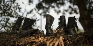 centrafrique bozize sangaris