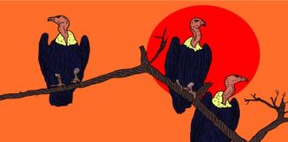 huissiers vautours