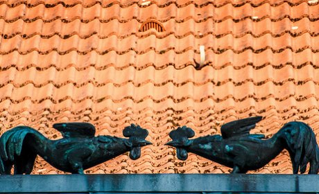 serge koster brouilles