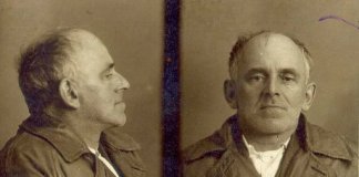 ossip mandelstam darwich