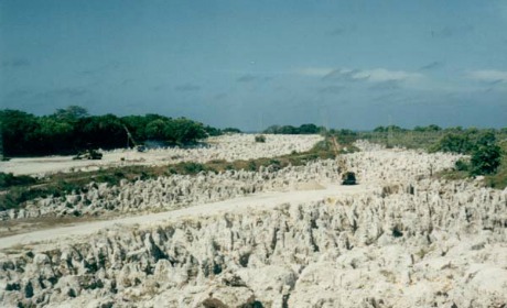Nauru: d'île de pêcheurs à mine de phosphate - Causeur