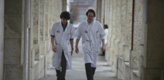 hippocrate lilti immigration