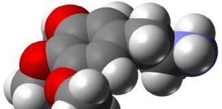 mescaline paulhan michaux