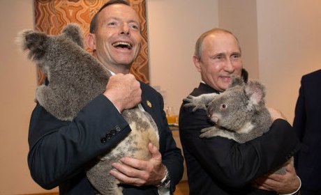 Koalas, diplomatie et misère de l’anti-poutinisme