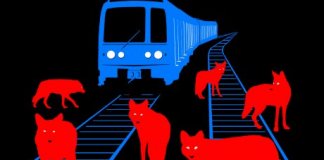 rer banlieue insecurite