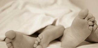 amor dominique forma