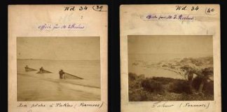 john thomson formose