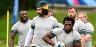 rugby Afrique du Sud quotas racisme