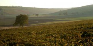 sancerre automne rentree