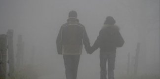 vivendum couple-folie