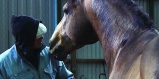 Le Caravage Bartabas Alain Cavalier