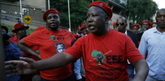 Afrique du Sud ANC Julius Malema