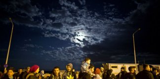 migrants paul collier immigration