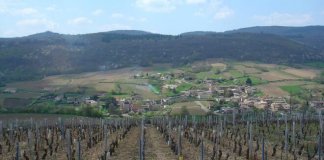 macon saint veran bourgogne