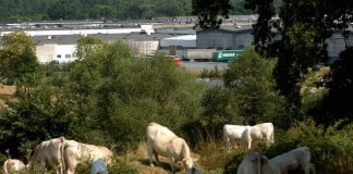 montlucon industrie dunlop landis