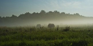 sologne ombres flammes pierric guittaut