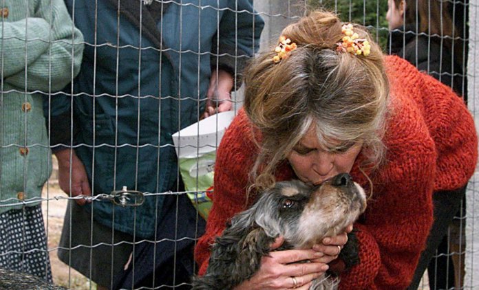 brigitte-bardot-protection-droit-des-animaux