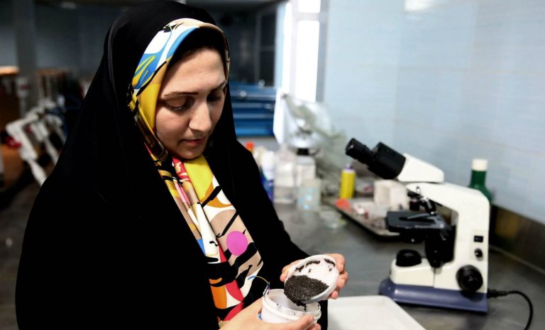 Une scientifique s&rsquo;alarme de l&rsquo;arrivée du voile à l&rsquo;université