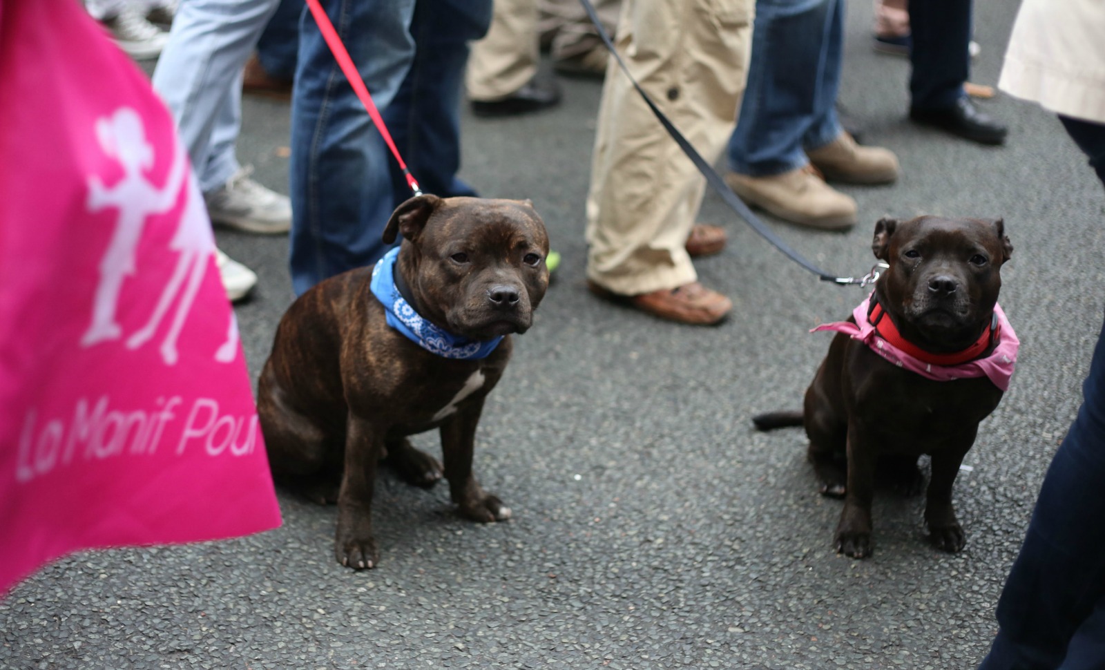 Comment répondre aux défenseurs de la PMA sans passer pour un facho