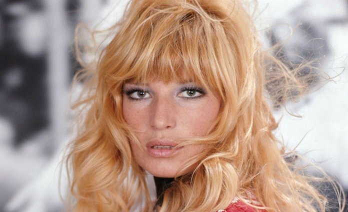 monica-vitti-canard-orange monica vitti canard orange