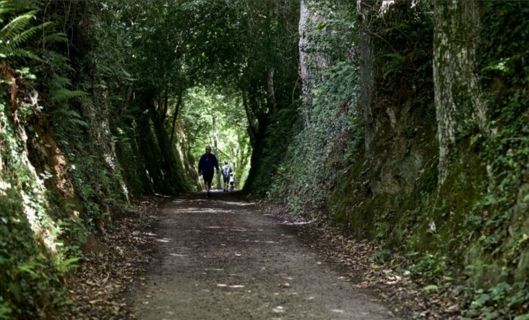 Valère-Marie Marchand, l&rsquo;auteur qui murmurait à l&rsquo;écorce des arbres