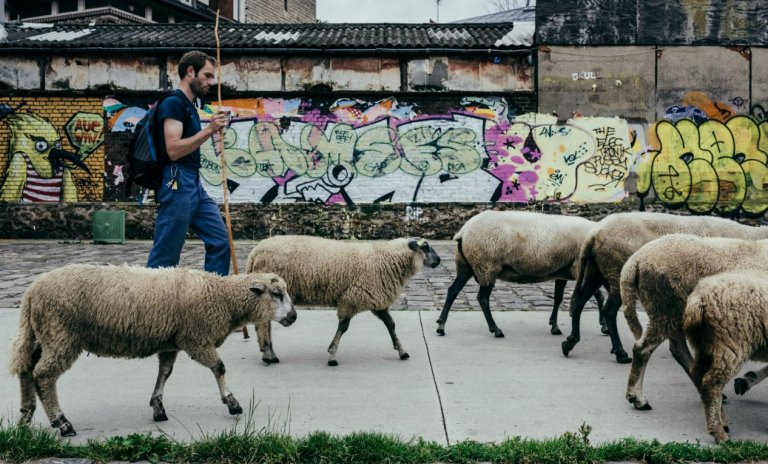 La cause animale sera le genre humain