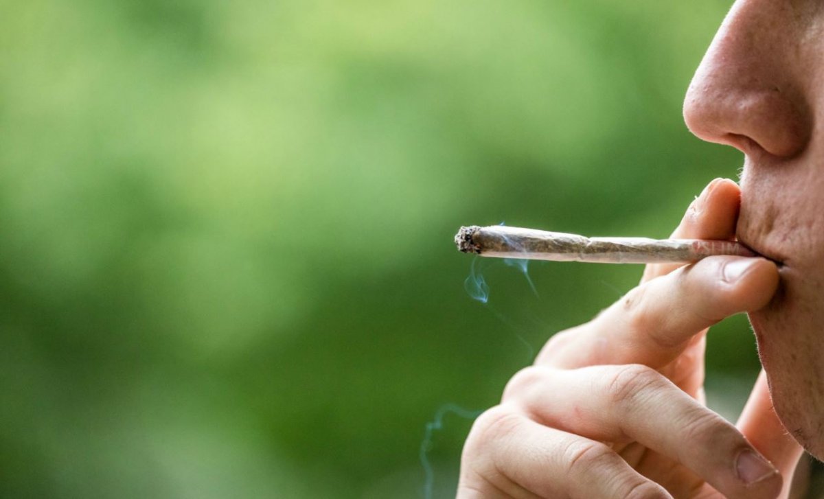 cannabis-droite-drogue-legalisation-1200