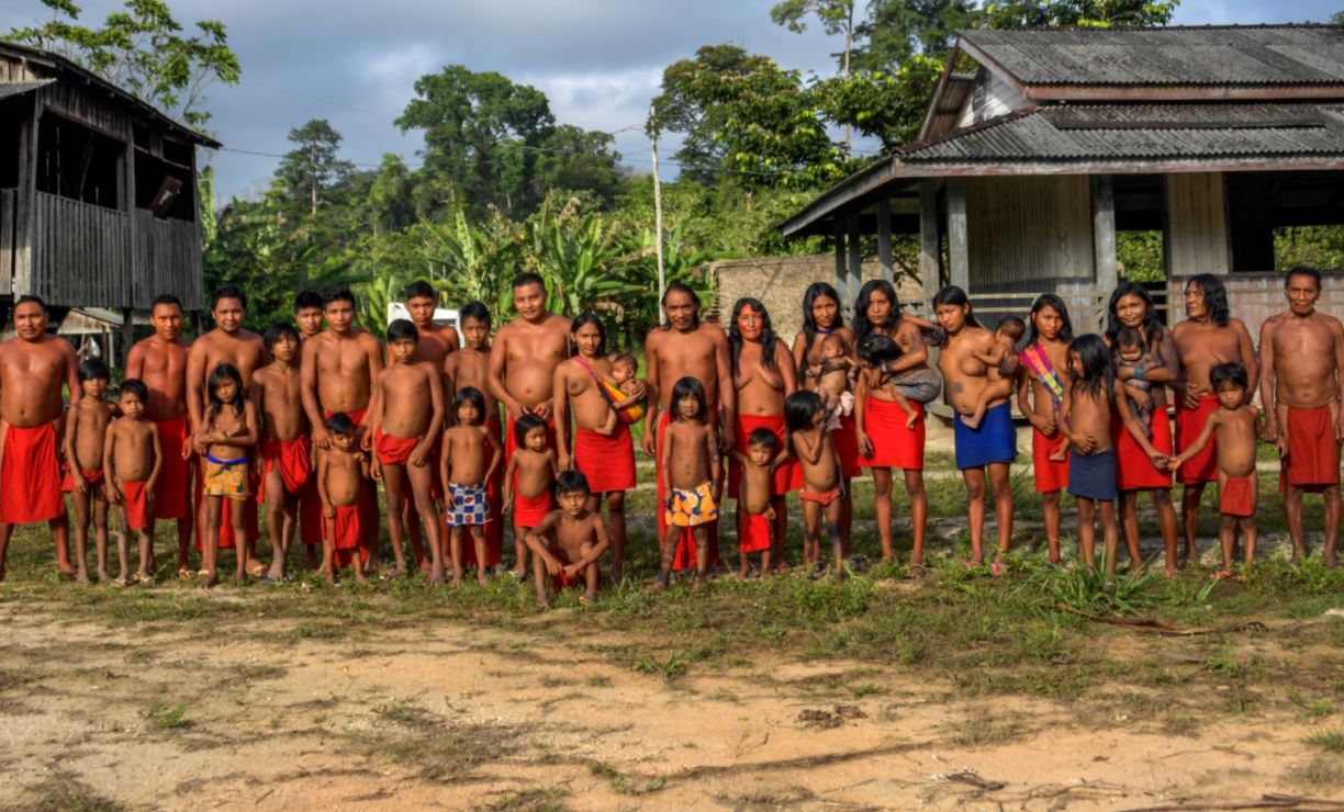 Au Brésil, les ONG font leur loi en vert et contre tous