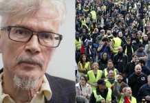 limonov gilets jaunes russie