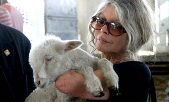 bardot saint tropez animaux