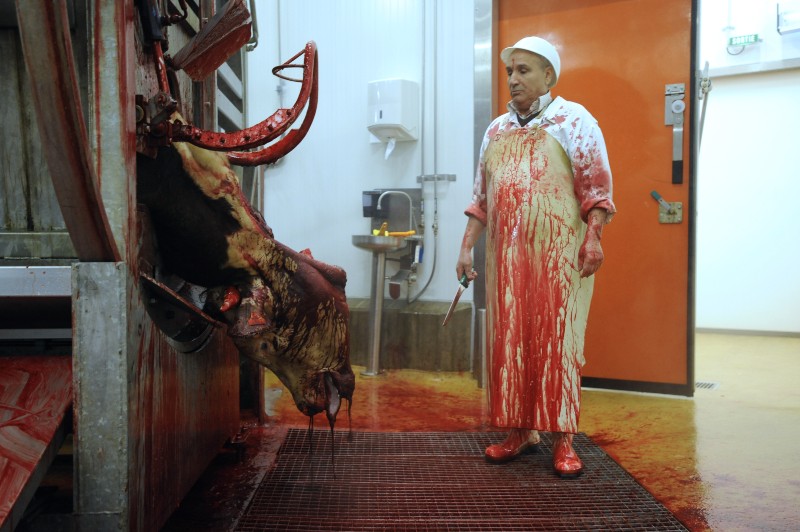 Un imam à l'œuvre dans un abattoir à Cernay, en 2009 © SEBASTIEN BOZON / AFP