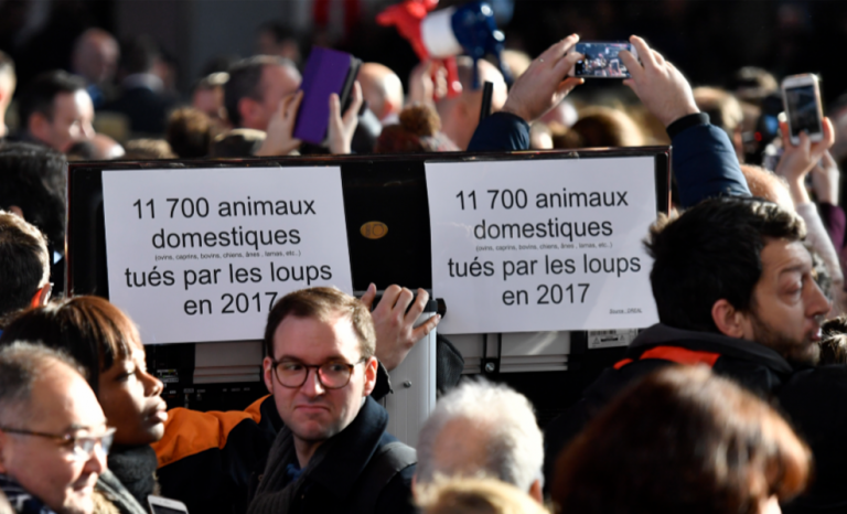 Animalisme: ils veulent interdire la viande et le cirque