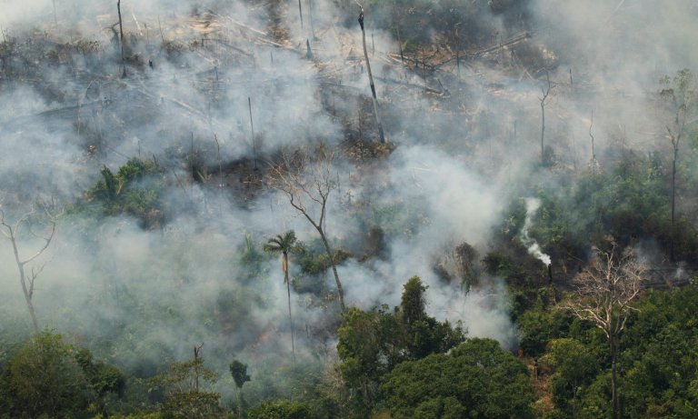 Incendies en Amazonie: notre avenir part-il vraiment en fumée?
