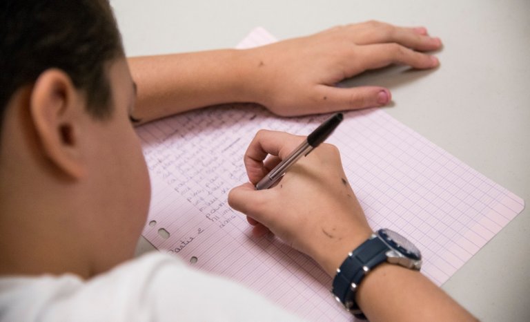 L&rsquo;inintelligence de la main