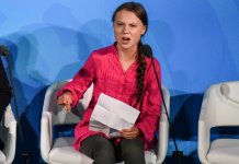 Alain Finkielkraut: « L’écologie est devenue un prêchi-prêcha insupportable de suffisance »