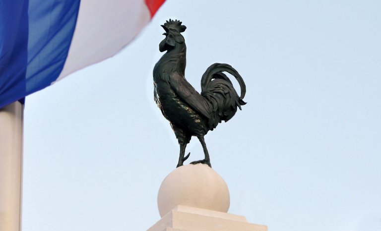 Coq: l’emblème de la France est-il macho?