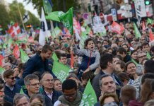 PMA, une affaire de dingues