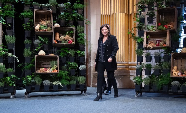 Affiches Alliance Vita: de quoi Hidalgo a-t-elle peur ?