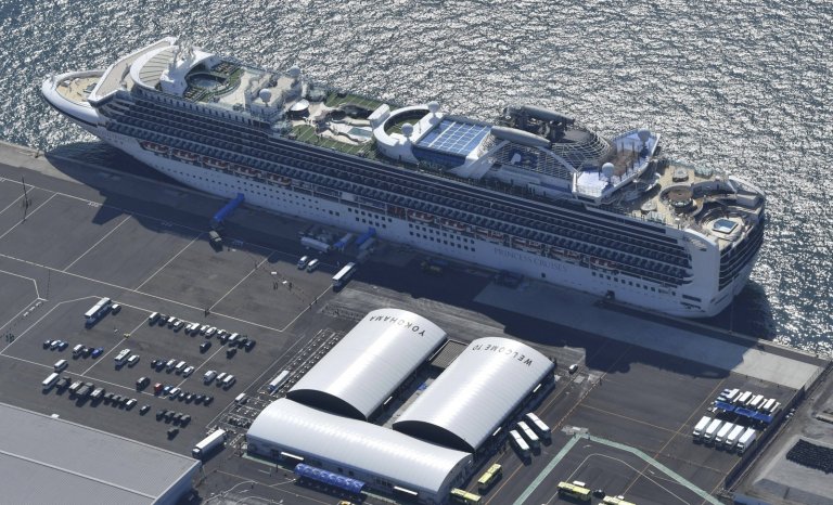 L&rsquo;homme est un virus pour l&rsquo;homme