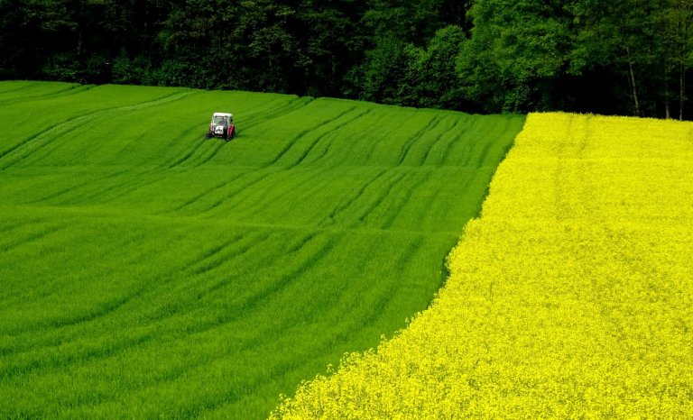 Liliane, ne refais pas les valises! On reste à la campagne!