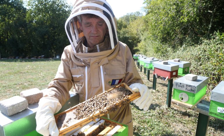 Le corona bat Arnaud Montebourg à son propre jeu